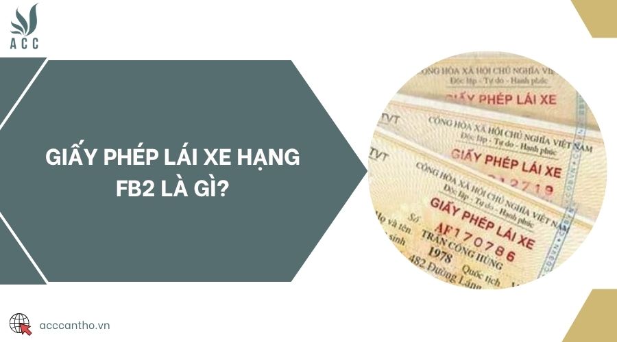fv88 lái xe hạng FB2 là gì?