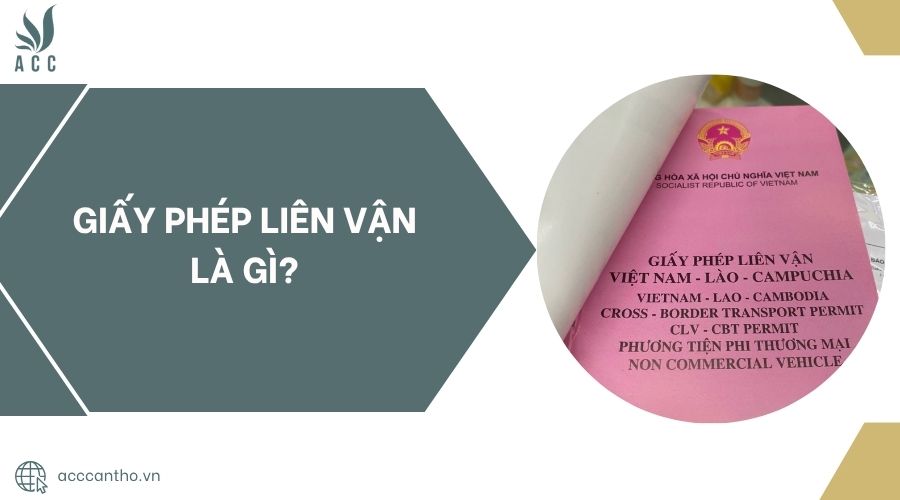 fv88 liên vận là gì?