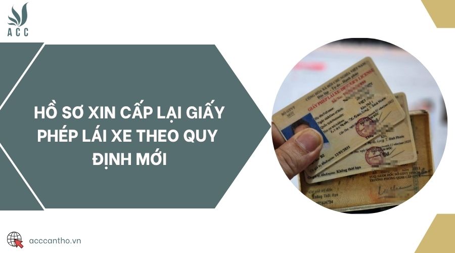 Hồ sơ xin cấp lại giấy phép lái xe theo quy định mới