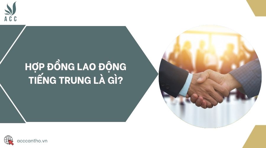 Hợp đồng fv88 link tiếng Trung là gì?