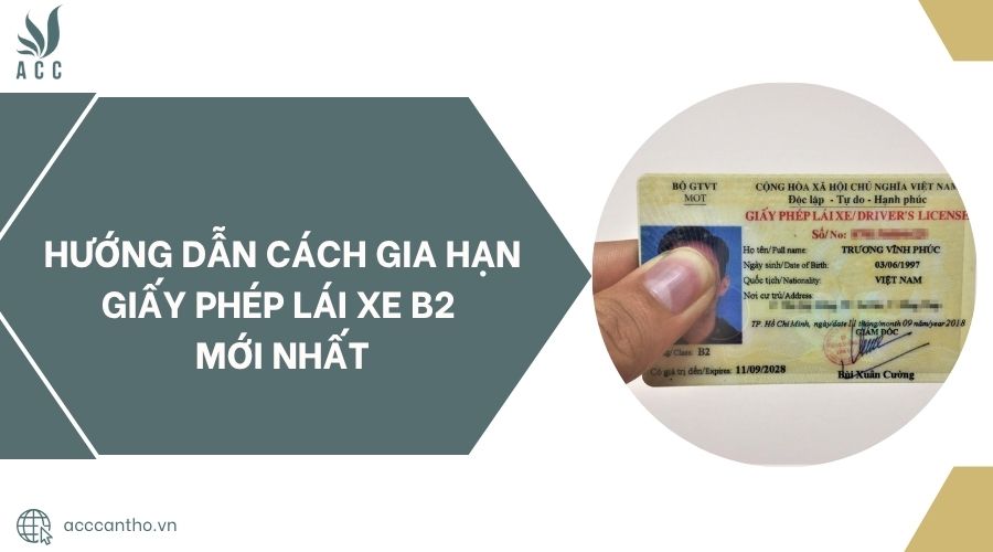 Hướng dẫn cách gia hạn giấy phép lái xe B2 mới nhất