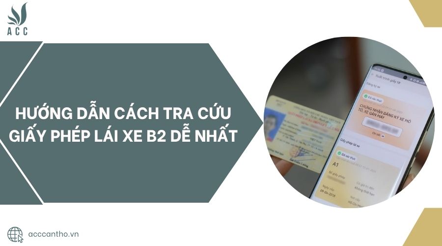 Hướng dẫn cách tra cứu giấy phép lái xe B2 dễ nhất