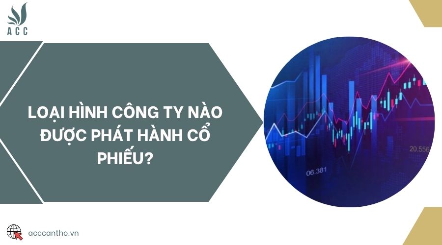 Loại hình công ty nào được phát hành cổ phiếu?