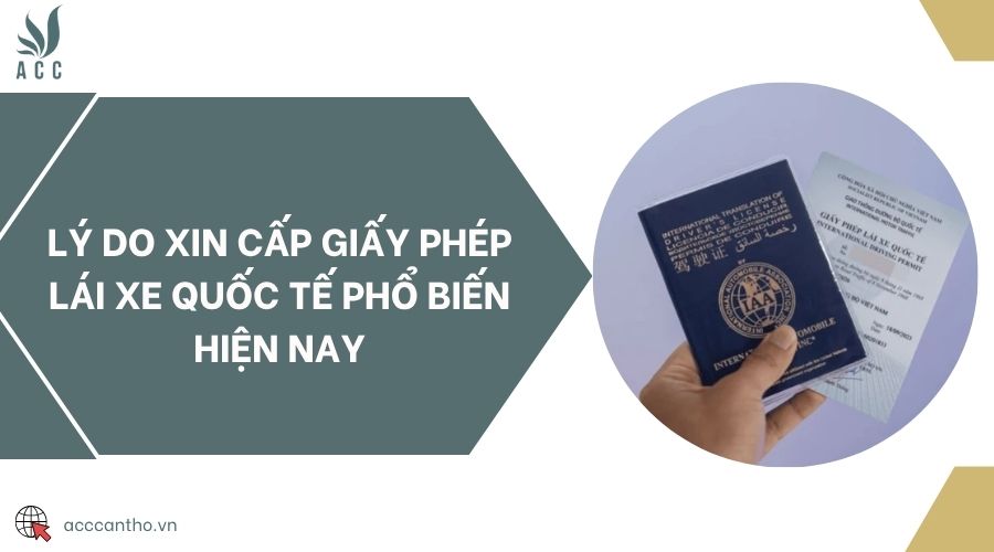 Lý do xin cấp giấy phép lái xe quốc tế phổ biến hiện nay