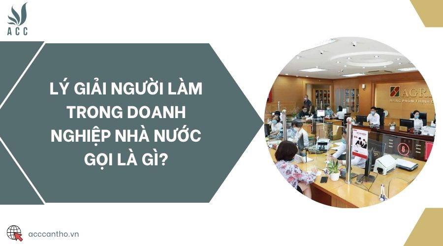 Lý giải người làm trong doanh nghiệp nhà nước gọi là gì?