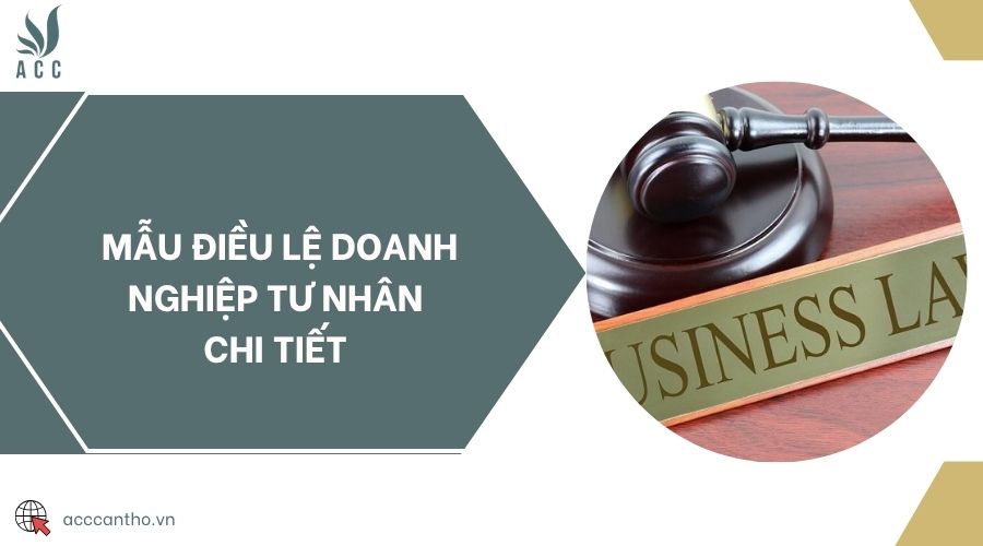 Mẫu điều lệ doanh nghiệp tư nhân chi tiết 