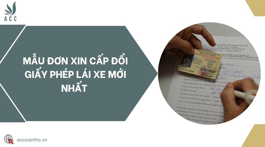 Mẫu đơn xin cấp đổi giấy phép lái xe mới nhất 