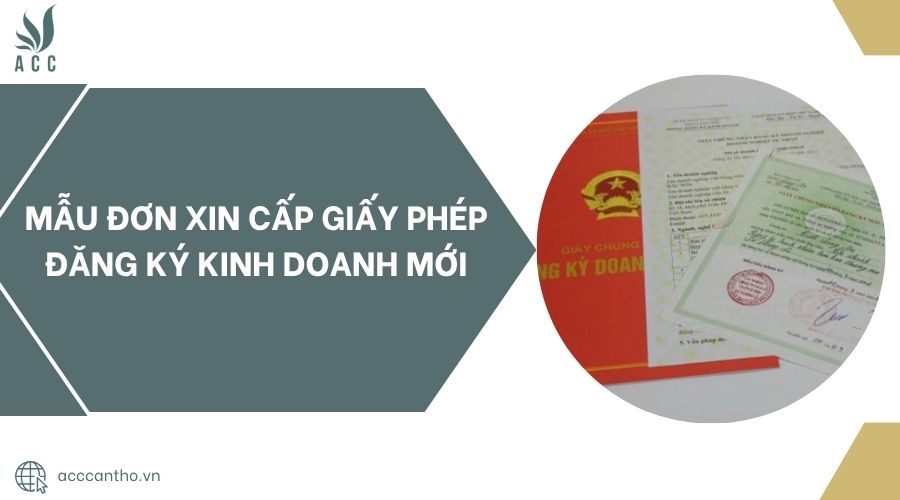 Mẫu đơn xin cấp giấy phép đăng ký fv888 mới