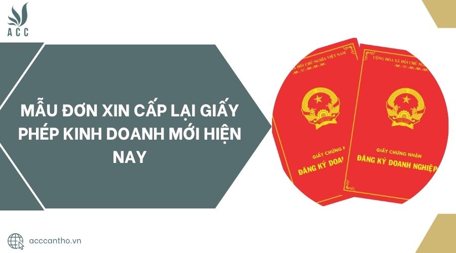 Mẫu đơn xin cấp lại giấy phép fv888 mới hiện nay