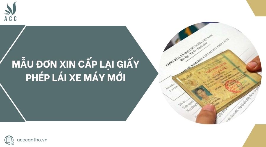 Mẫu đơn xin cấp lại giấy phép lái xe máy mới