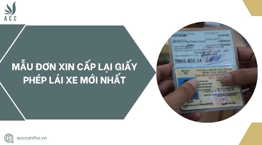 Mẫu đơn xin cấp lại giấy phép lái xe mới nhất