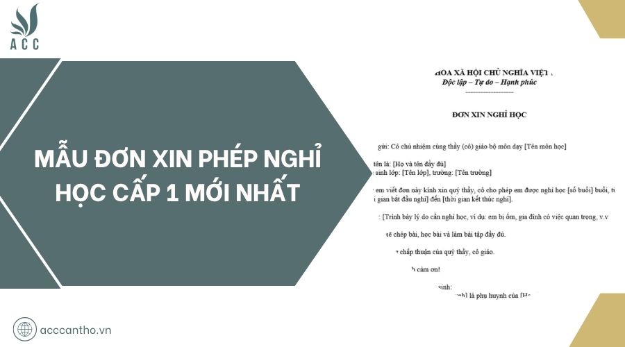 Mẫu đơn xin phép nghỉ học cấp 1 mới nhất