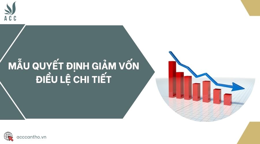 Mẫu quyết định giảm vốn điều lệ chi tiết