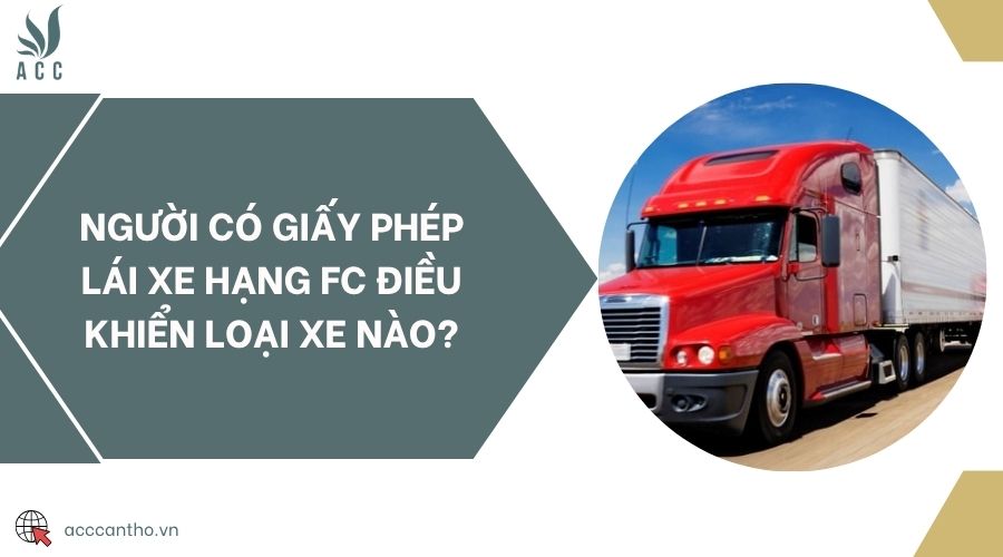 Người có giấy phép lái xe hạng FC điều khiển loại xe nào?