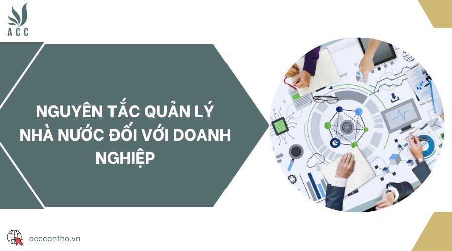 Nguyên tắc quản lý nhà nước đối với doanh nghiệp