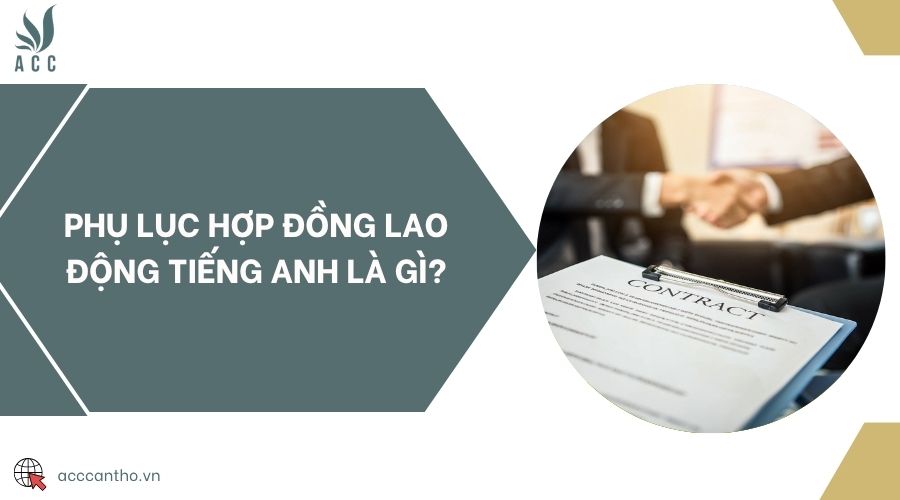 Phụ lục hợp đồng fv88 link tiếng Anh là gì?