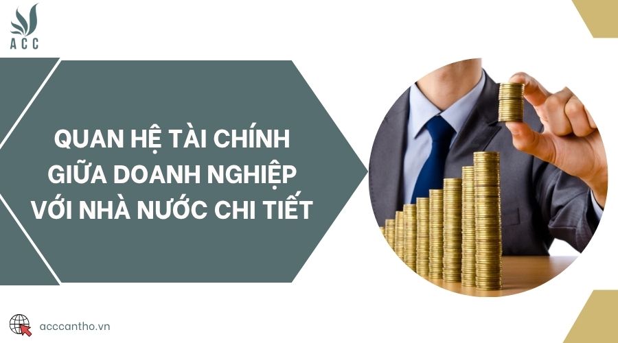Quan hệ tài chính giữa doanh nghiệp với nhà nước chi tiết