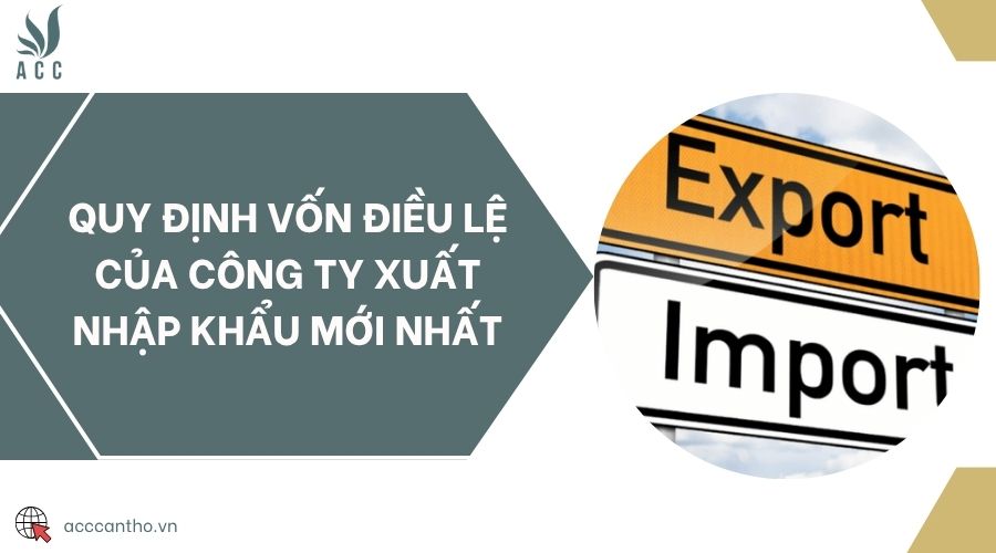 Quy định vốn điều lệ của công ty xuất nhập khẩu mới nhất