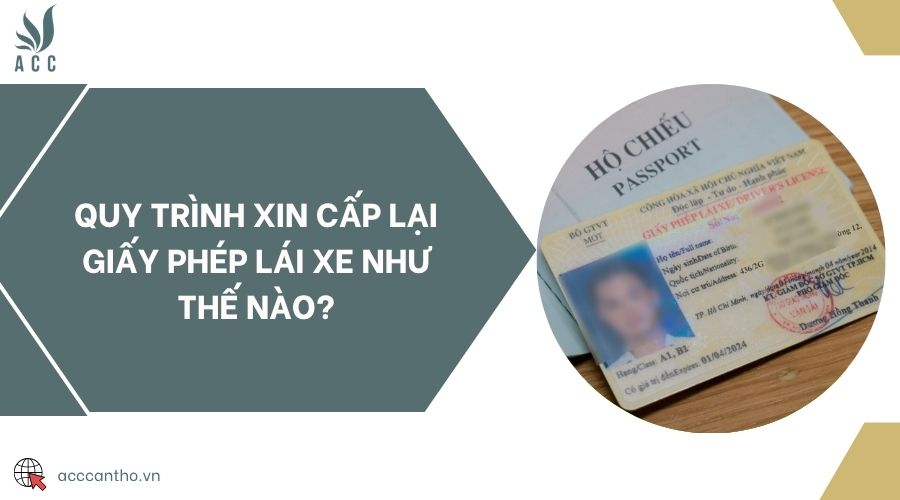 Quy trình xin cấp lại giấy phép lái xe như thế nào?