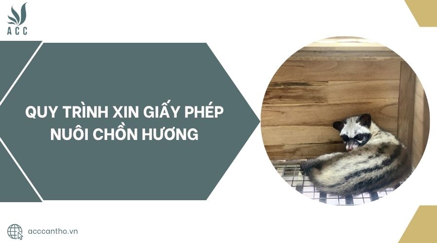 Quy trình xin giấy phép nuôi chồn hương