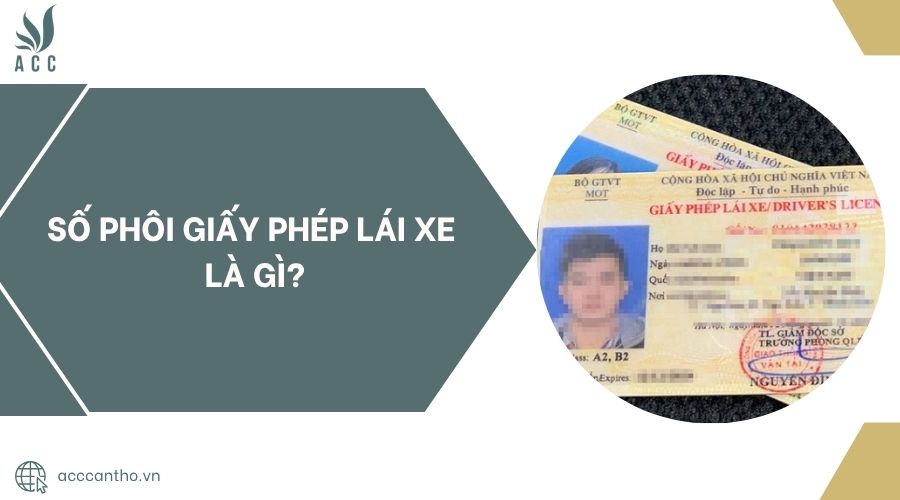 Số phôi giấy phép lái xe là gì?