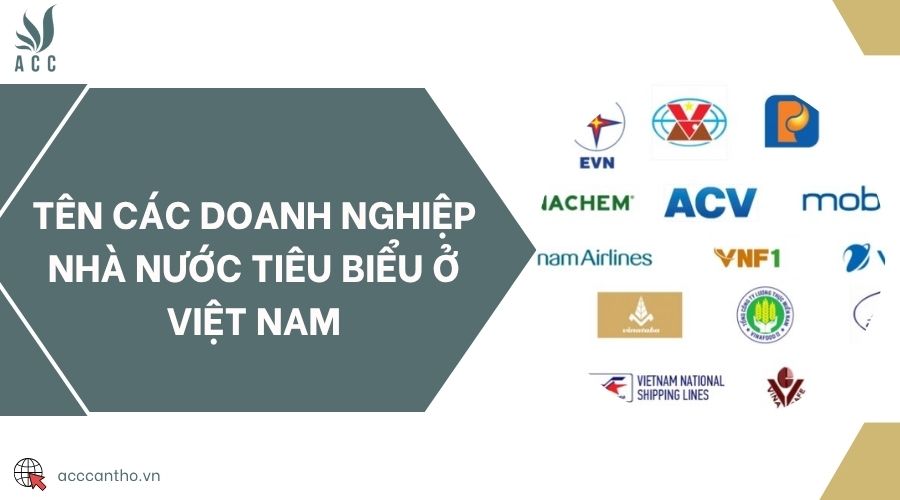 Tên các doanh nghiệp nhà nước tiêu biểu ở Việt Nam