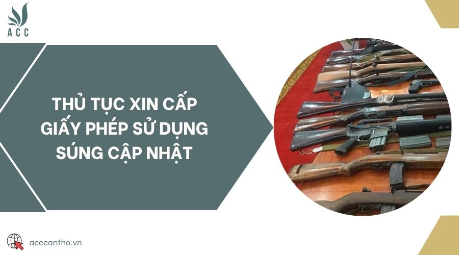 Thủ tục xin cấp giấy phép sử dụng súng cập nhật