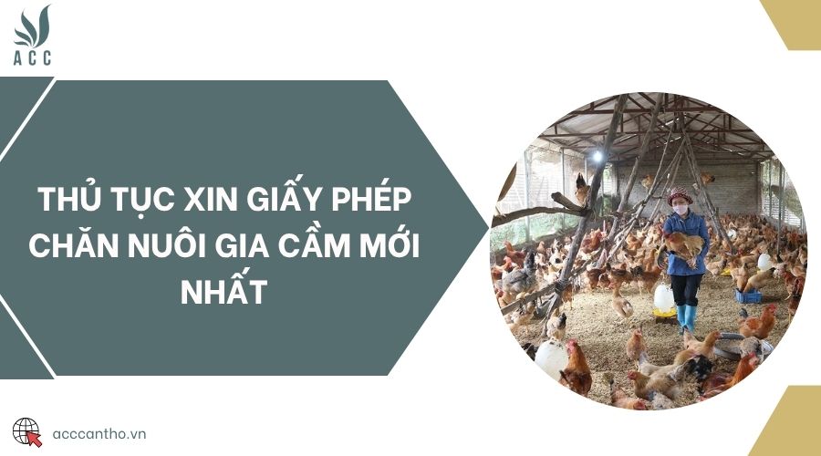 Thủ tục xin giấy phép chăn nuôi gia cầm mới nhất