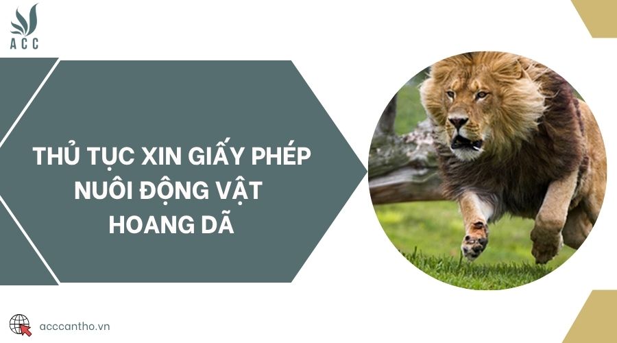 Thủ tục xin giấy phép nuôi động vật hoang dã