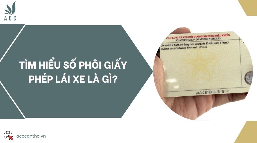 Tìm hiểu số phôi giấy phép lái xe là gì?