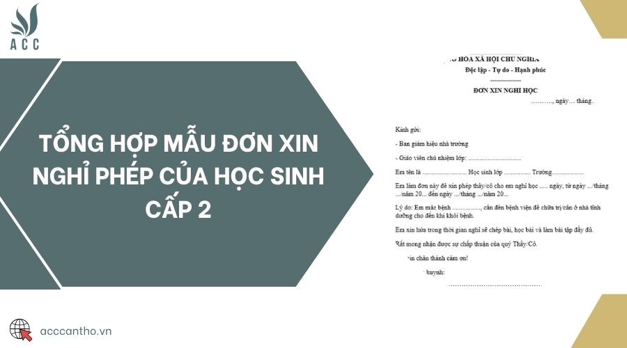 Tổng hợp mẫu đơn xin nghỉ phép của học sinh cấp 2