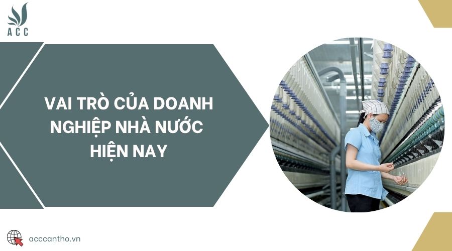 Vai trò của doanh nghiệp nhà nước hiện nay