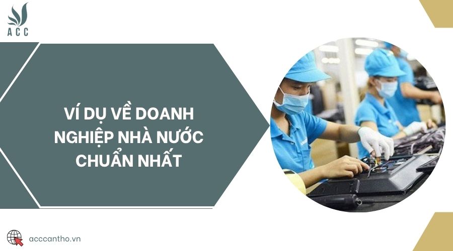 Ví dụ về doanh nghiệp nhà nước chuẩn nhất