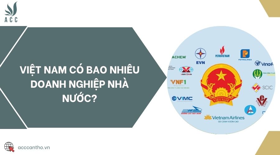Việt Nam có bao nhiêu doanh nghiệp nhà nước?