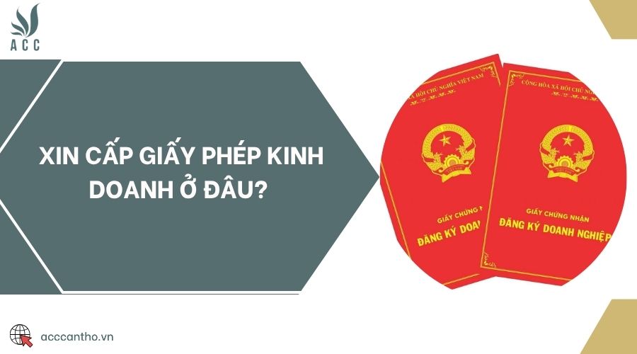 Xin cấp giấy phép fv888 ở đâu? 