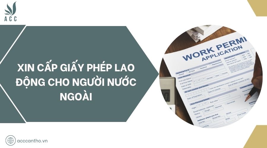 Xin cấp giấy phép fv88 link cho người nước ngoài