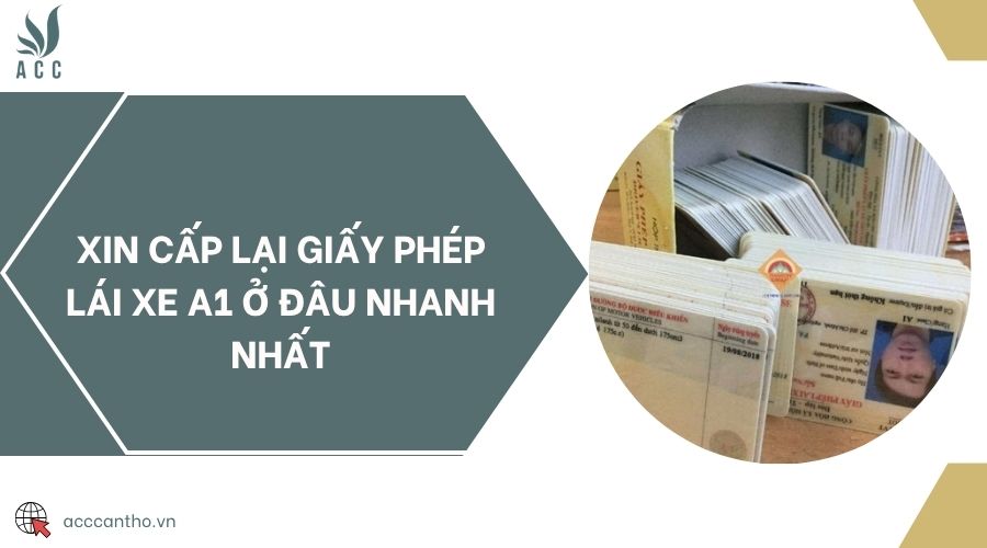 Xin cấp lại giấy phép lái xe A1 ở đâu nhanh nhất