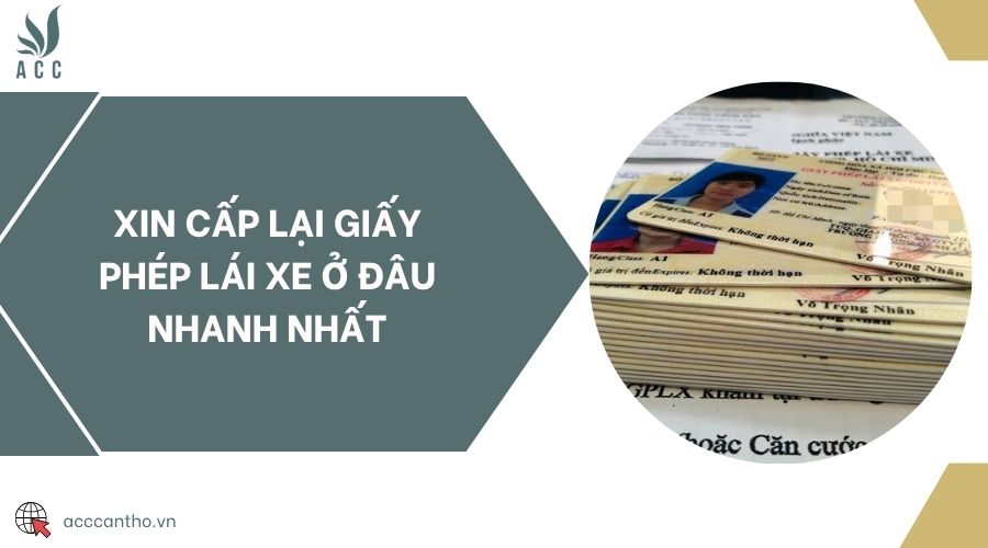 Xin cấp lại giấy phép lái xe ở đâu nhanh nhất