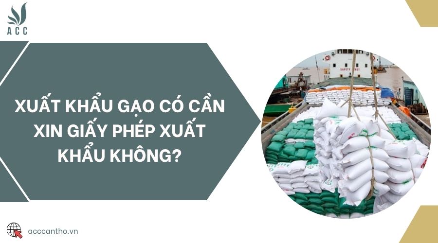 Xuất khẩu gạo có cần xin giấy phép xuất khẩu không?