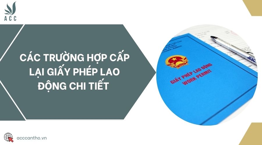 Các trường hợp cấp lại giấy phép fv88 link chi tiết 