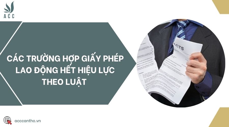 Các trường hợp giấy phép fv88 link hết hiệu lực theo luật 