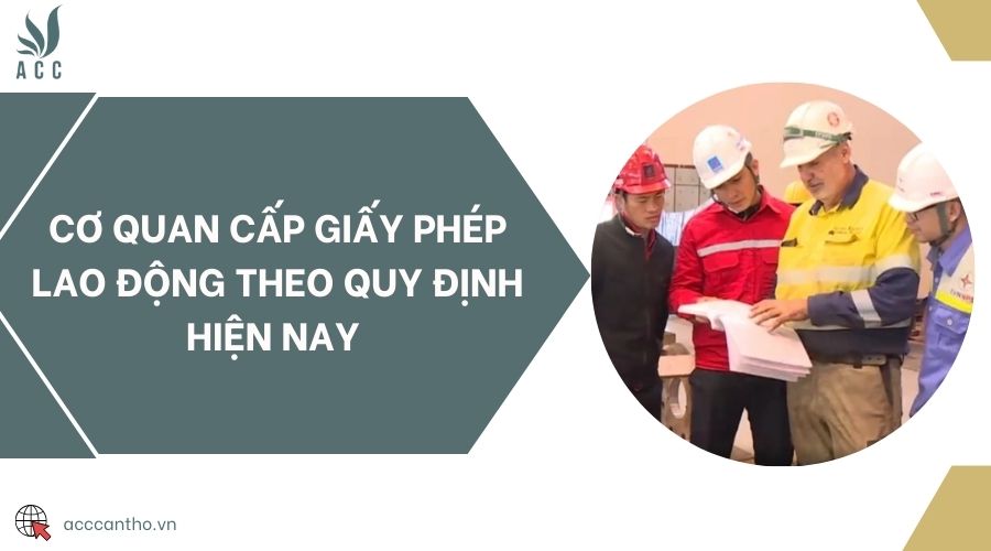 Cơ quan cấp giấy phép fv88 link theo quy định hiện nay 