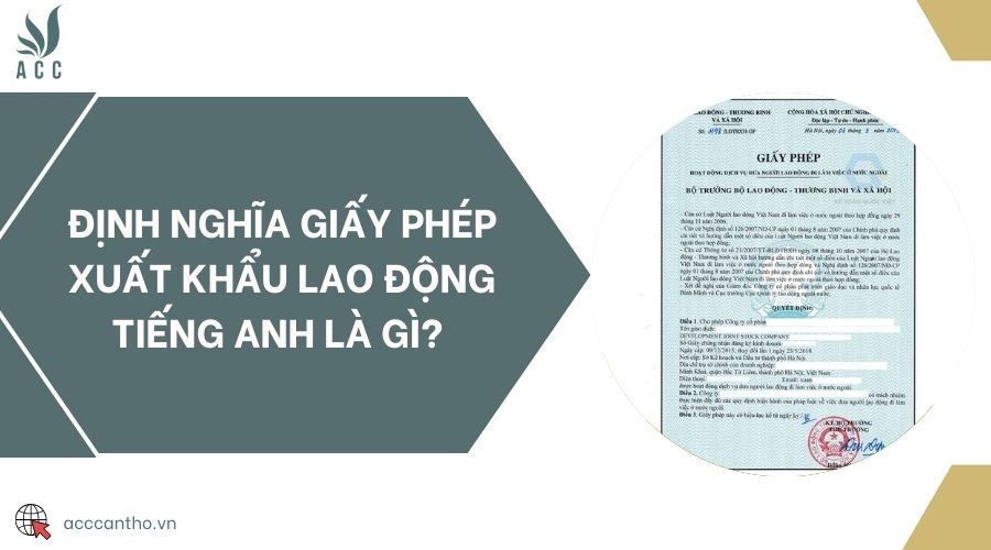 Định nghĩa giấy phép xuất khẩu fv88 link tiếng Anh là gì? 