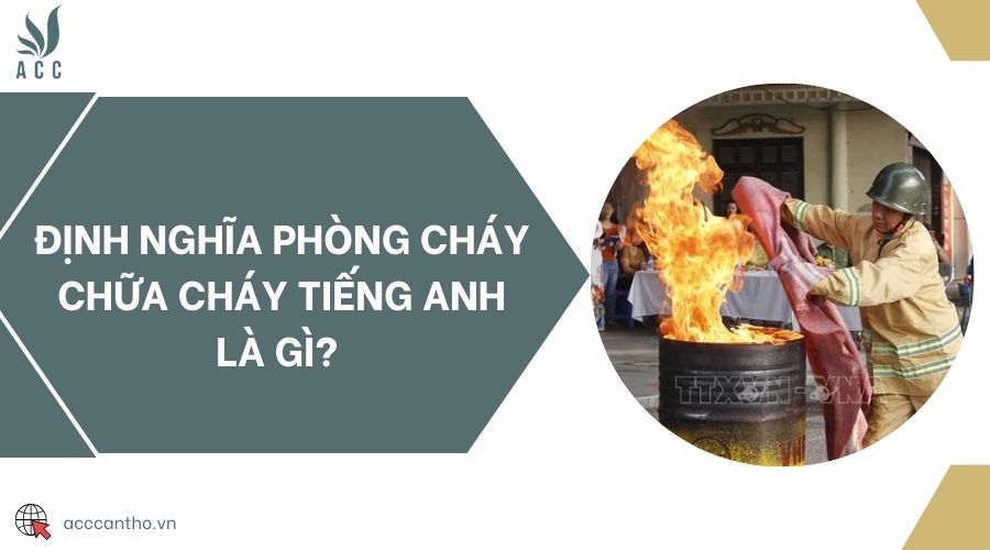 Định nghĩa fv88 đá gà trực tiếp tiếng Anh là gì?