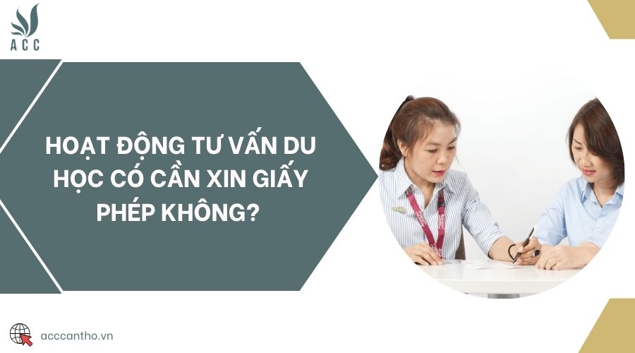 Hoạt động tư vấn du học có cần xin giấy phép không? 