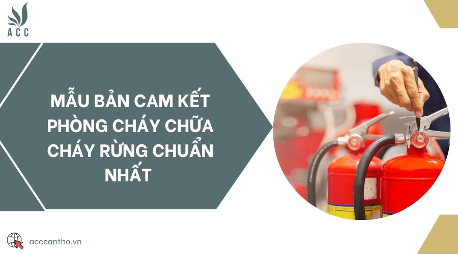 Mẫu bản cam kết fv88 đá gà trực tiếp rừng chuẩn nhất 