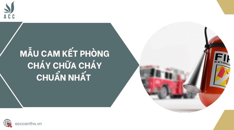 Mẫu cam kết fv88 đá gà trực tiếp chuẩn nhất 