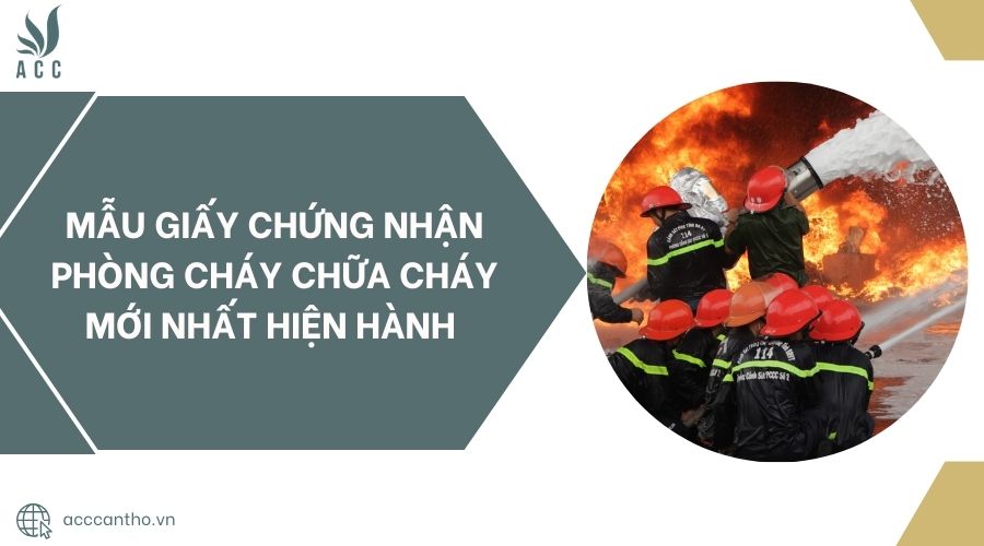 Mẫu giấy chứng nhận fv88 đá gà trực tiếp mới nhất hiện hành 