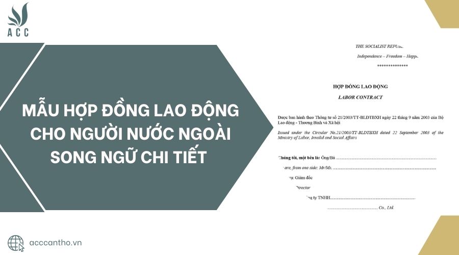 Mẫu hợp đồng fv88 link cho người nước ngoài song ngữ chi tiết 