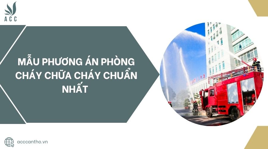 Mẫu phương án fv88 đá gà trực tiếp chuẩn nhất 